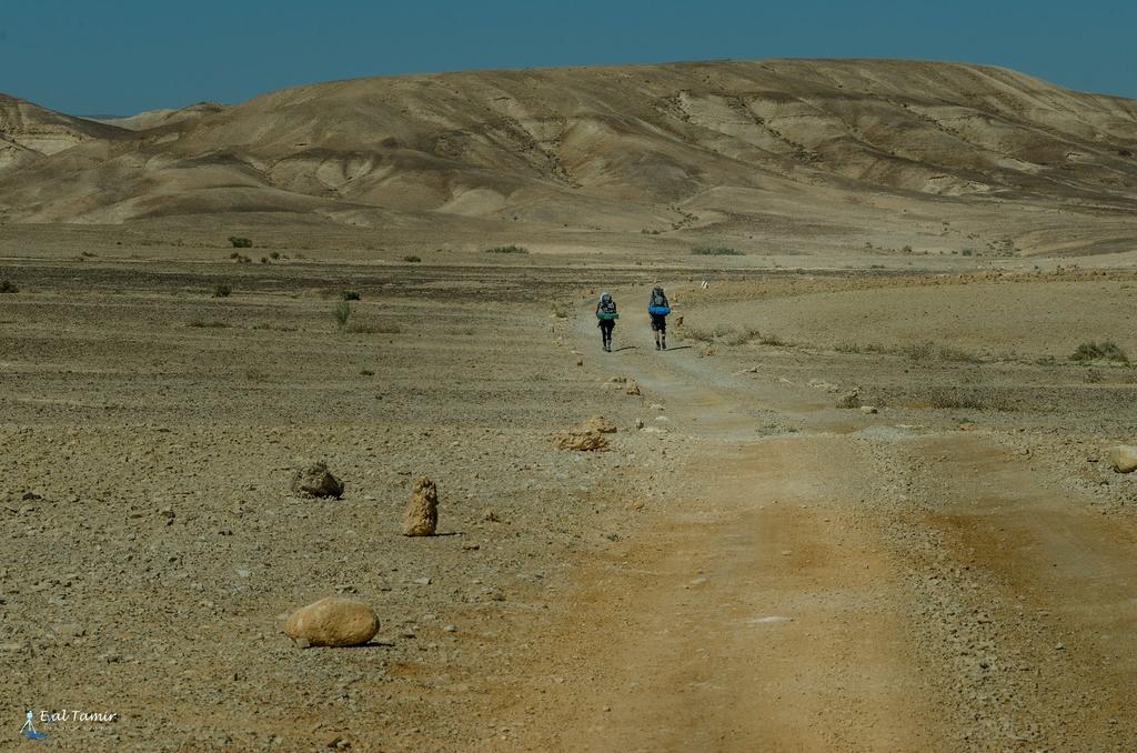 Desert Picture Arad Ngoại thất bức ảnh