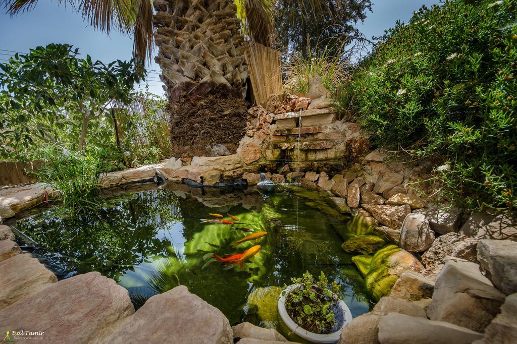 Desert Picture Arad Ngoại thất bức ảnh