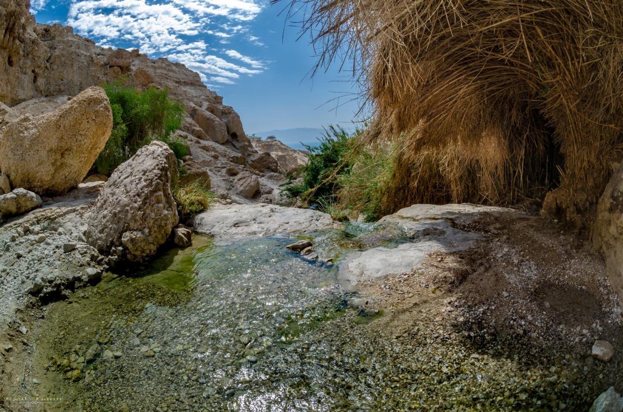 Desert Picture Arad Ngoại thất bức ảnh