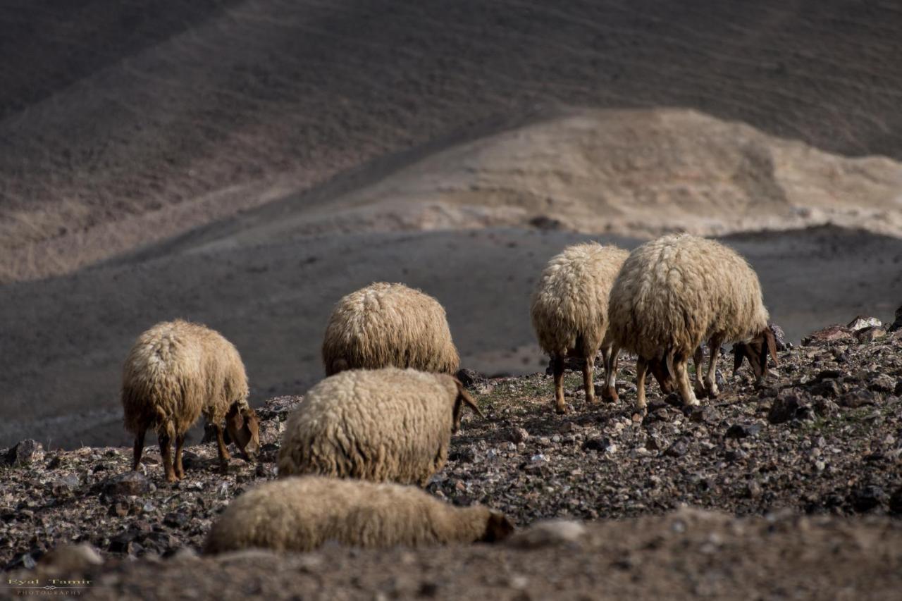 Desert Picture Arad Ngoại thất bức ảnh